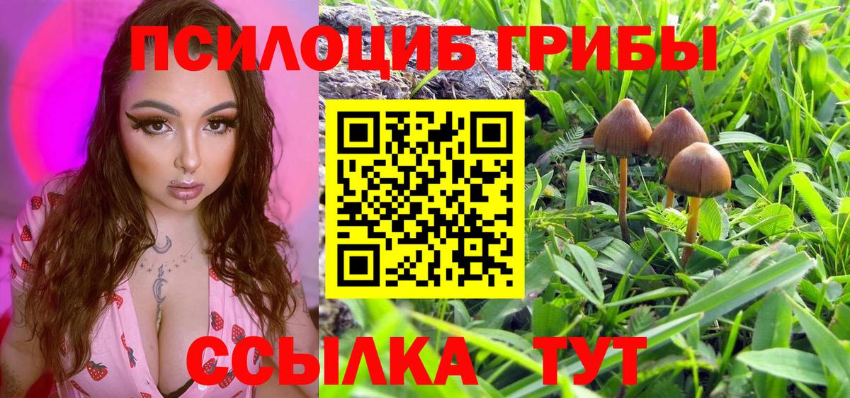 Североуральск  Галлюциногенные грибы MAGIC MUSHROOMS  Вход с VPN 