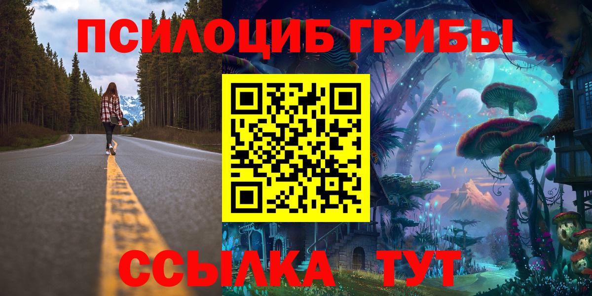 Галлюциногенные грибы Psilocybine cubensis Североуральск